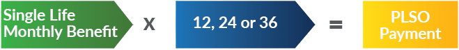 PLSO-Benefit-Formula_lump-sum PLSO-Benefit-Formula_lump-sum