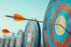 photo showing archery targets with arrows in the bullseye